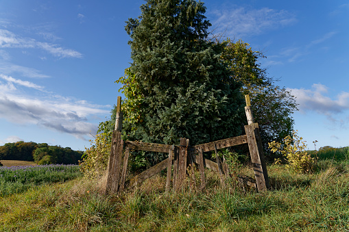 Old rotten wooden gate in front of green trees. The fence around the site is missing.