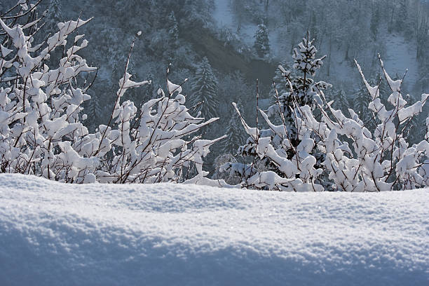 país das maravilhas do inverno - swisse imagens e fotografias de stock