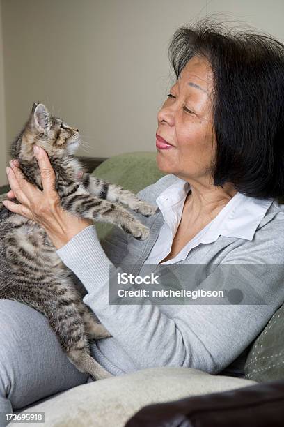 Que A Usted Foto de stock y más banco de imágenes de Gatito - Gatito, Gato doméstico, Levantar