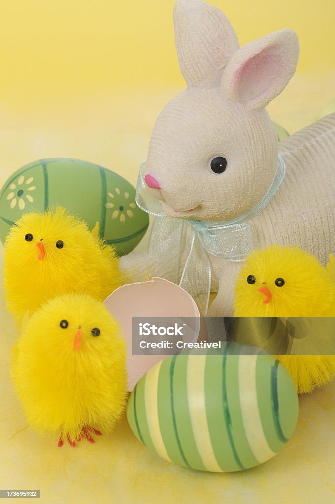 Happy Easter Cute little bunny with Easter eggs and yellow toy baby chicks Animal Stock Photo