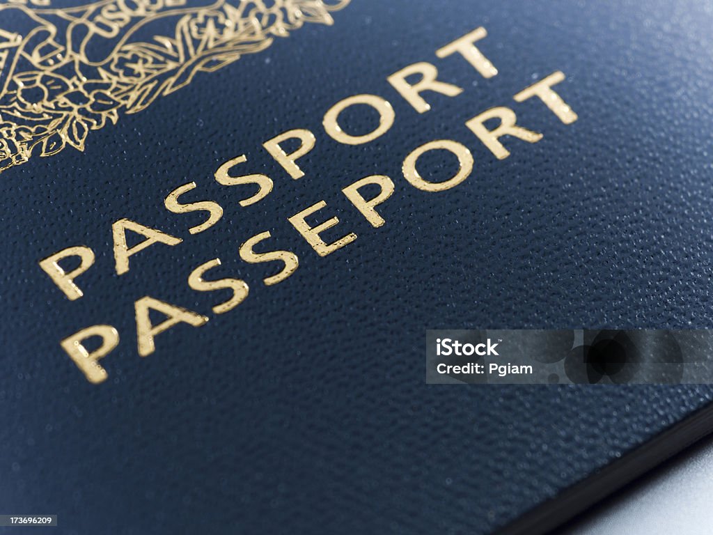 Passaporte para entrada - Royalty-free Alfândega - Edifício de Transportes Foto de stock