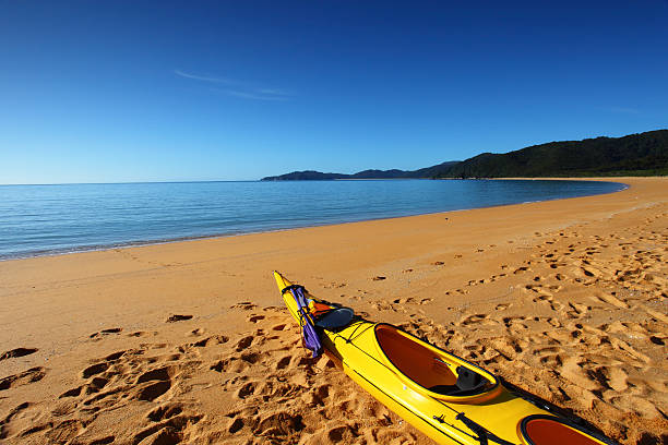 カヤックでビーチ（xxxl - abel tasman national park ストックフォトと画像