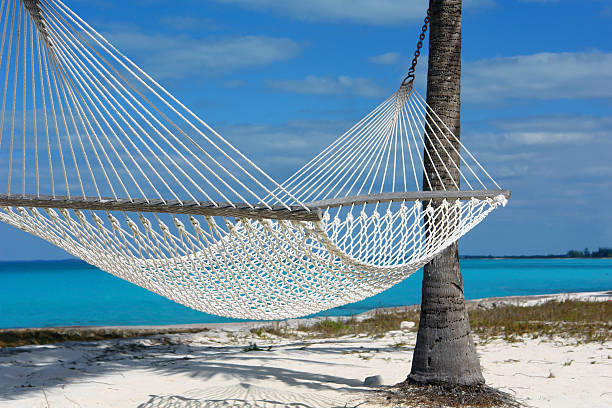 Lonely Hammock on the Bahamas Beach in Solitude stock photo