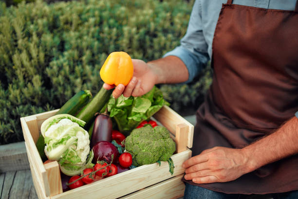 istock Mature couple working on the farm 1736968072