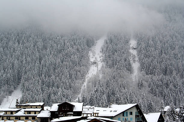 istock Frost tree covered mountain village in winter 173697078