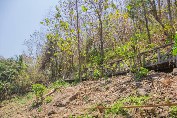 Wooden footpaths have been built for a long time
