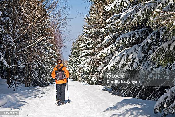 Zimowy Krajobraz - zdjęcia stockowe i więcej obrazów Biały - Biały, Chłodny, Dorosły