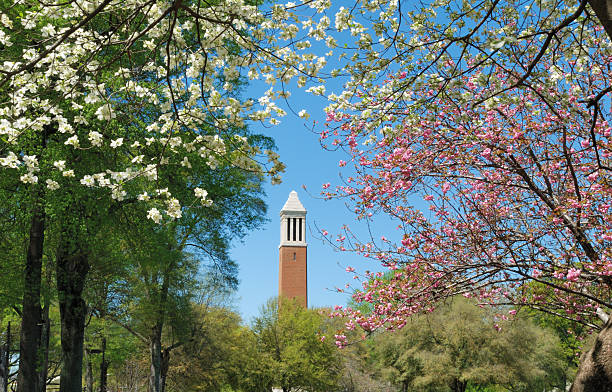 campus au printemps - university of alabama at tuscaloosa photos et images de collection