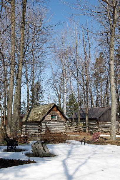 istock Log Cabin in Winter 173697786