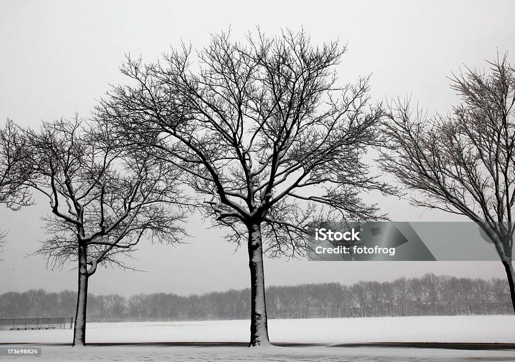 겨울맞이 장면 - 로열티 프리 0명 스톡 사진
