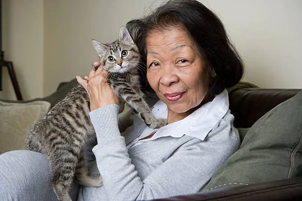 Photo of Portrait of a Senior Elderly woman holding a Kitten