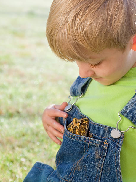 istock Little Boy Admiring His Frog 173699781