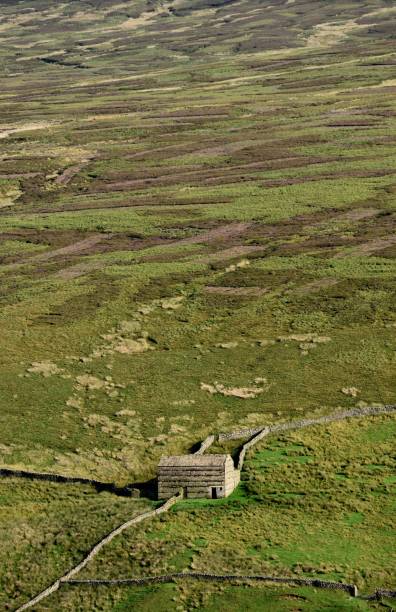 istock A field barn in Swaledale. 1737001678