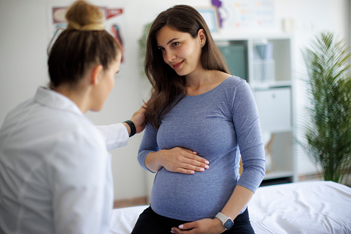 Shot of a pregnant woman having a consultation with a doctor