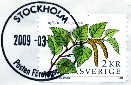 Swedish postage stamp with silver birch from 2008.Need more options Click on a lightbox below for similar files.