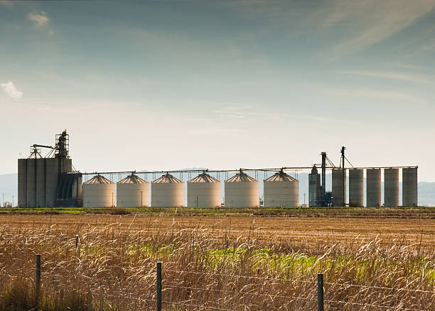 Rice Silos – Foto