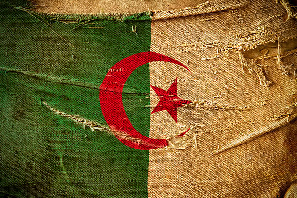 Oran, Algeria: Algerian flag flying over the City Hall - photo by M.Torres