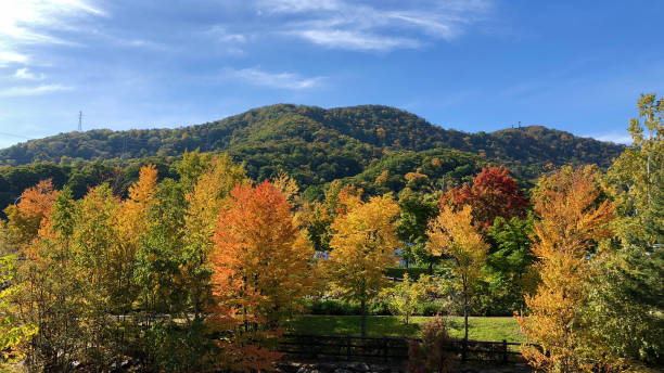 istock Autumn trees and mountains in October 1737027198
