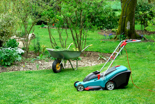 An electric lawnmower  and a lawnmower in  a beautiful garden