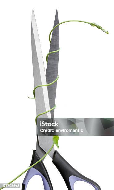 Risky Growth Stock Photo - Download Image Now - Business, Challenge, Concepts