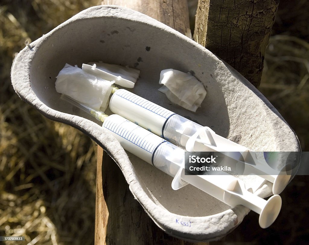 syringes for animals doctor for the horse making injektion Horse Stock Photo