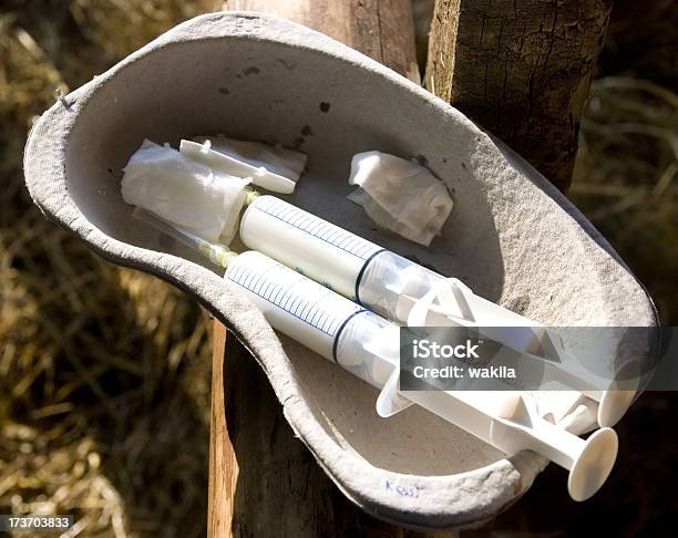 Syringes For Animals Stock Photo - Download Image Now - Horse, Medicine, Healthcare And Medicine