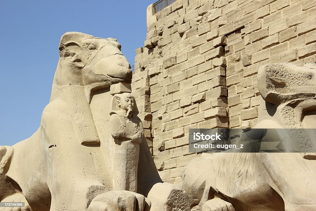 Сфинкс. The Karnak храмовый комплекс в Луксор, Египет. - Стоковые фото Temple of Amun Hypostyle Hall роялти-фри