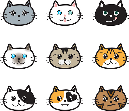 Cute Cats in various colors, breeds & expressions