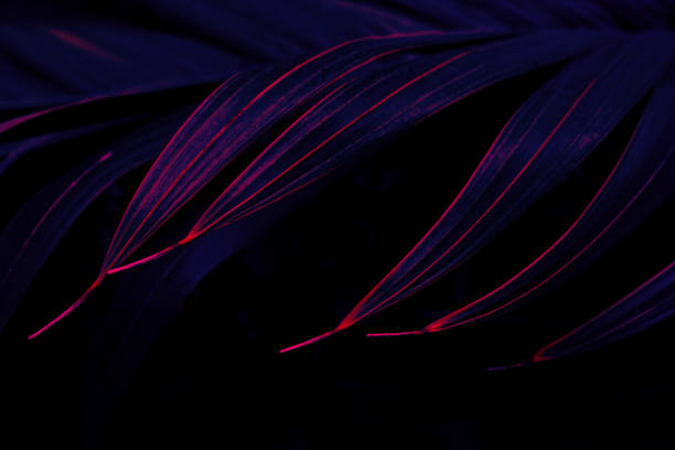 istock tropical palm leaf background, glow in the dark 1737067024