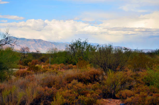 istock Mountains Surrounding Roosevelt Lake Arizona 1737076880