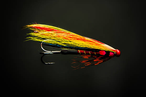 Firebird Salmon fly stock photo