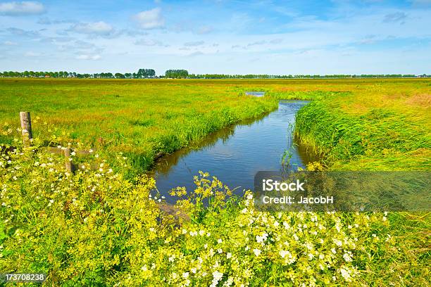 Pólder Neerlandés Escena Foto de stock y más banco de imágenes de Agricultura - Agricultura, Agua, Aire libre