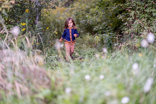 A sweet little dark haired girl, walks outside alone on a cool fall day.  She is dressed warmly in a knitted sweater and focused on making her way along a grassy trail.