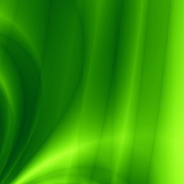 istock Floral green abstract nature web background 173708383