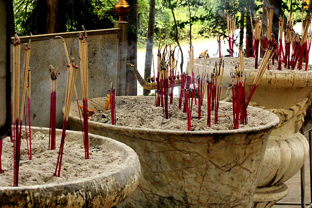 istock Incense in Khao Yai National Park, a sanctuary. 173708439