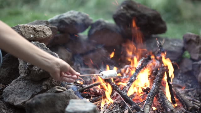 Hand roasting marshmallows on campfire.