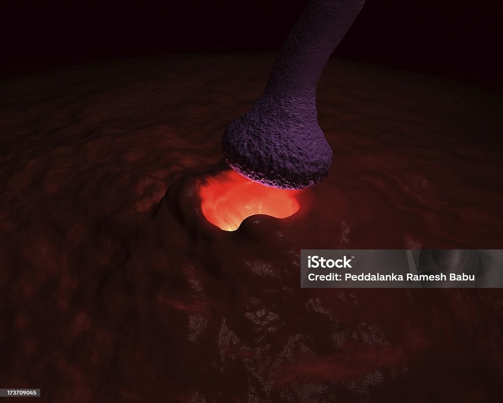 Aktiv-neurone - Lizenzfrei Anatomie Stock-Foto