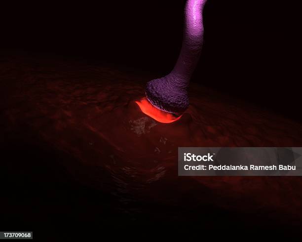 Aktivneurone Stockfoto und mehr Bilder von Anatomie - Anatomie, Axon, Besorgtheit