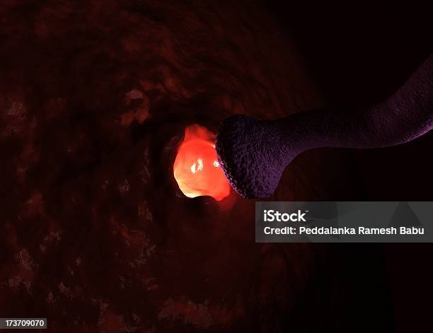 Aktivneurone Stockfoto und mehr Bilder von Anatomie - Anatomie, Axon, Besorgtheit