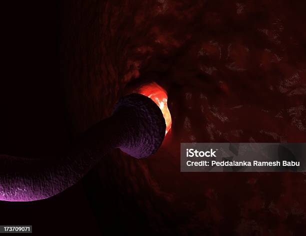 Aktywnych Neuronów - zdjęcia stockowe i więcej obrazów Anatomia człowieka - Anatomia człowieka, Biologia - Nauka, Dendryt