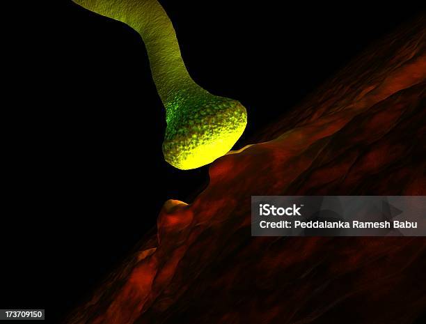 Neurone Activo Foto de stock y más banco de imágenes de Anatomía - Anatomía, Ansiedad, Asistencia sanitaria y medicina