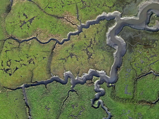 istock Abstract aerial view of river flow and marshland at River Test delta 1737092276