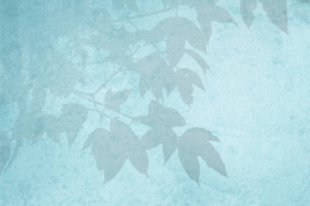 istock Blurred shadow from leaves plants on the blue concrete wall. Transparent blurry shadow of tropical natural leaves sunlight. Minimal abstract background for product presentation. Spring and summer. 1737092822
