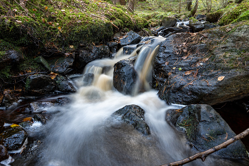 Closeup of water stream through autumn forest Skale Klint Sweden October 10 2023