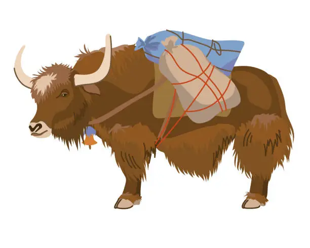 Vector illustration of A brown yak with bags on its back. Vector, flat style. A pet is traditionally used for cargo transportation in Tibet and Nepal. Dairy cattle are widespread in the highlands. Cartoon style.