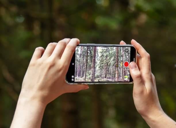 istock Hands holding smartphone, recording video, capturing nature, forest 1737095164