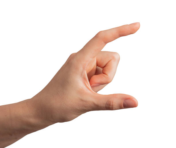 Hand, fingers showing, measuring something, isolated on white