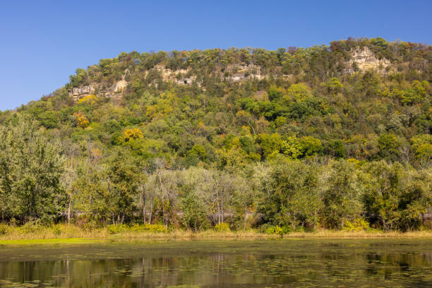 Mississippi River Backwaters In Autumn