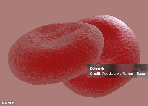 血液細胞 - ヒトの内臓のストックフォトや画像を多数ご用意 - ヒトの内臓, ヒト細胞, ヘルスケアと医療