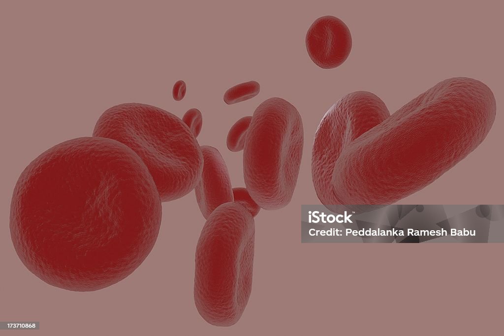 血液細胞 - ヒトの内臓のロイヤリティフリーストックフォト